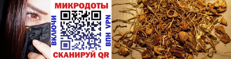 KRAKEN   Куртамыш  Псилоцибиновые грибы Magic Shrooms  где найти  